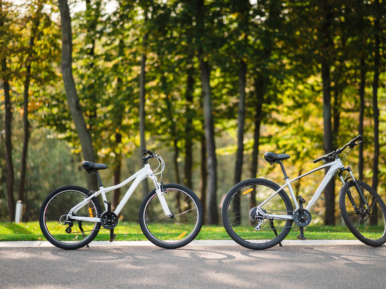 Zwei Fahrräder auf einem Weg durchs Grüne - fahrradfreundliches Hotel ASAM am Donauradweg.
