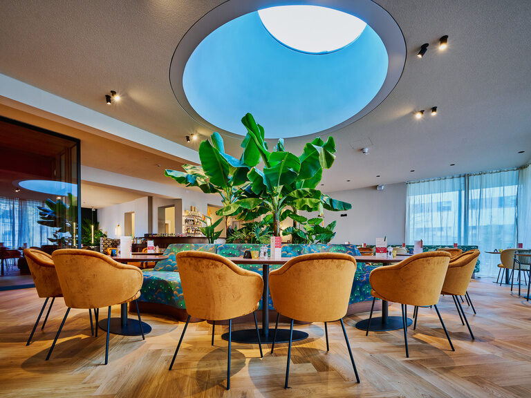 Tische um eine Bananenpflanze und Glaskuppel herum im modernen Restaurant des Hotel ASAM, Straubing.